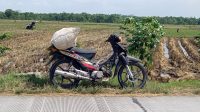 Sepeda Motor Milik Warga Tlogohaji Sumberrejo Hilang Saat Terparkir di Pinggir Sawah
