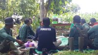 KPH Bojonegoro Lakukan Gertak Tanam di Empat BKPH