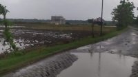 Jalan Poros Desa Ngraseh Dander Rusak Parah dan Perlu Penanganan Khusus