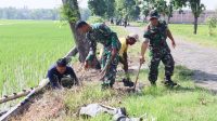 Peduli Lingkungan Kodim 0813 Tanam Ribuan Pohon