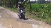 Sebutan Bojonegoro Nglenyer Kurang Pas Bagi Warga Sidomukti Kasiman