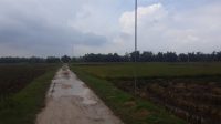 Jalan Poros Desa Bancer Ngraho Licin dan Berlumpur Bahayakan Pengguna Jalan