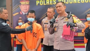 Foto Tersangka Kasus Pencabulan diamankan Polisi Celah.id