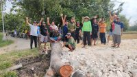 Dampak Pemotongan Pohon Keramat, Kades Dan Sekdes Talok Bersiteru