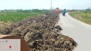 Minim Rambu Terpasang, Tumpukan Galian Proyek TPT di Ruas Jalan Drokilo – Kedungadem Rawan Terjadi Kecelakaan