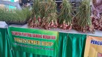 Efisiensi Biaya, Pemkab Bojonegoro Dorong Petani Bawang Merah Gunakan Benih Biji