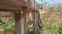 Jembatan Penghubung di Desa Kasiman Sudah Rusak, Warga; Padahal Baru Bangun