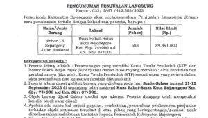 Ratusan Pohon Peneduh di Sepanjang Jalan Nasional Babat- Bojonegoro Dilelang, Cek Syarat dan Ketentuannya