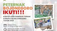 Dorong Kembangkan Peternakan Modern, Pemkab Bojonegoro Akan Gelar Kontes dan Pameran Ternak Sapi 