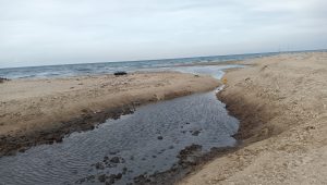 Bau Menyengat Diduga Limbah Milik PT TPPI di Keluhkan Warga Desa Remen-Tuban