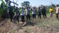 Cegah Bencana Alam, KRPH Ngorogunung Bojonegoro Siapkan Lahan 11.35 H Untuk Program Reboisasi