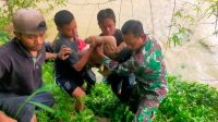Bermain di Sungai Desa Nglumber Kepohbaru, Dua Anak Hanyut, Satu Ditemukan Meninggal Satu Anak Masih Dalam Pencarian