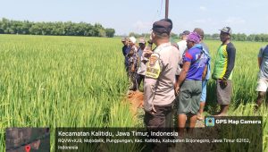 Petani Asal Leran Bojonegoro Ditemukan Meninggal Dunia di Pematang Sawah, Diduga Tersengat Aliran Listrik Dari Sumur Miliknya