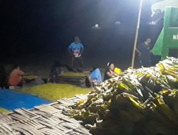 Suka Cita Pengrajang Tembakau di Bojonegoro Saat Harga Panen Tinggi