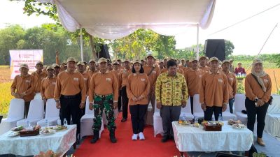 Kembangkan Teknologi Pertanian, DKPP Bojonegoro Gelar Sekolah Lapang Bagi Petani