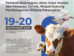Pemkab Bojonegoro Bakal Gelar Kontes dan Pameran Ternak, Catat Tanggalnya 