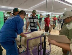 Ternak Unggulan dari 28 Kecamatan Ikuti Kontes Pemkab Bojonegoro 