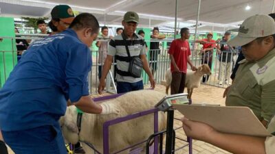 Ternak Unggulan dari 28 Kecamatan Ikuti Kontes Pemkab Bojonegoro 