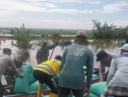 Tanggul Kali Ingas Jebol, Polsek Kanor Bersama Warga Sigap Perbaiki, Puluhan Hektar Padi  Tergenang 