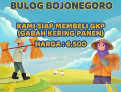 Jemput Bola Beli Gabah Langsung dari Petani,Perum Bulog Bojonegoro Pastikan Besaran HPP Rp 6.500 Perkilogram