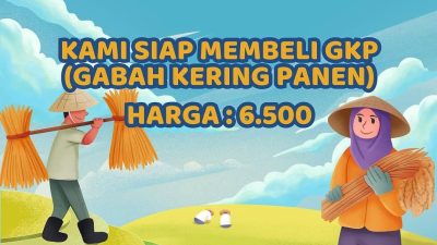 Jemput Bola Beli Gabah Langsung dari Petani,Perum Bulog Bojonegoro Pastikan Besaran HPP Rp 6.500 Perkilogram