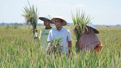 Fb Img 1740404431005