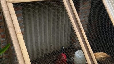 Fb Img 1740496635107