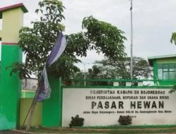 Antisipasi PMK Menyebar, Pemkab Bojonegoro Perpanjang Penutupan Pasar Hewan