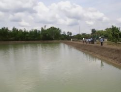 Dukung Swasembada Pangan, Pemkab Bojonegoro Optimalkan Fungsi Embung dan Jaringan Irigasi