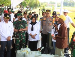 Panen Raya Padi Serentak, Polres Bojonegoro Dukung Ketahanan Pangan Nasional 