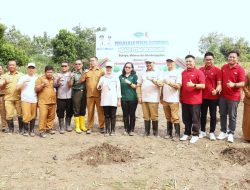 Tingkatkan Kesejahteraan Petani, Pemkab Bojonegoro Gandeng Perusahaan Tanam Pepaya California di Lahan Seluas 15 Hektar
