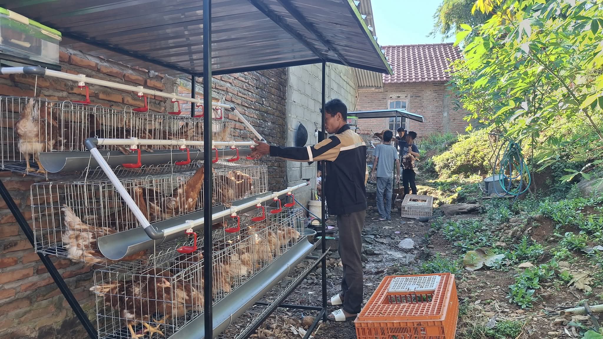 Fb img 1754450922157