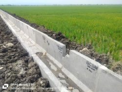 Kualitas U-dith di Ruas Tanjungharjo – Kumpulrejo Dipertanyakan, Warga Berharap Untuk Dibongkar