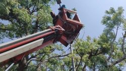 Sebanyak 1.192 Lampu Led Dipasang Di Jalan Babat – Bojonegoro Hingga Ngawi, Berkendara Makin Nyaman 