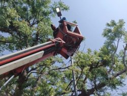 Sebanyak 1.192 Lampu Led Dipasang Di Jalan Babat – Bojonegoro Hingga Ngawi, Berkendara Makin Nyaman 
