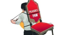 Img 20250213 wa0031 576x430 copy 800x544