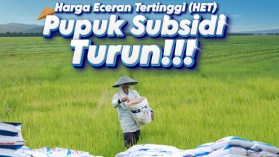HET Pupuk Bersubsidi Turun, Harapan Kesejahteraan Petani Meningkat