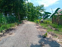 Proyek Jalan Beton BKK Desa Babad Masih Proses pembangunan, Kades Komitmen Jaga Kualitas