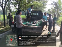 Laka di PUK Temayang – Sugihwaras, Pemotor Dihantam Mobil Pik Up, Satu Meninggal Ditempat