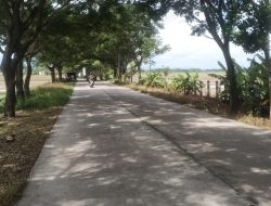 Bojonegoro Halus, Ekonomi Masyarakat Bagus