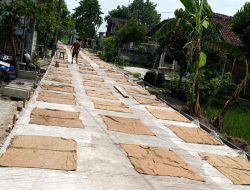 Jalan Beton BKK Desa Brangkal Capai 50%, Libatkan Peran Masyarakat Dalam Proses Pembangunan
