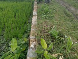 Warga Desa Ngadiluwih Geram, TPT Untuk JUT Tak Kunjung Selesai Dan Tertutup Untuk Publik