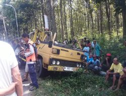 Truk Pengangkut Tiang listrik Hantam Pohon di Raya Bubulan- Temayang, Sopir Alami Luka