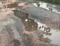 Memprihatinkan, Jalan Poros Desa Kemamang Bojonegoro Penuh Kubangan