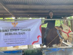 Sapi Kurban Seberat 1.040 Kg Dari Presiden RI Prabowo Diserahkan Pada Masjid Baabus Shofa Bojonegoro