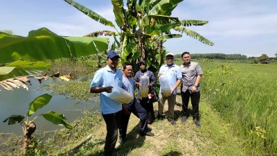 Penuhi Kebutuhan Protein, Pemdes Ngorogunung Bojonegoro Tabur Ribuan Benih Ikan di Embung 