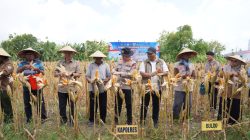 Ikuti Panen Raya Jagung via Jaringan Virtual, Polres Bojonegoro Dukung Ketahanan Pangan