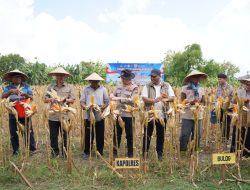 Ikuti Panen Raya Jagung via Jaringan Virtual, Polres Bojonegoro Dukung Ketahanan Pangan