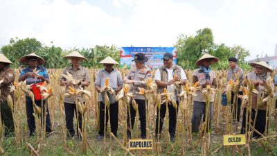 Ikuti Panen Raya Jagung via Jaringan Virtual, Polres Bojonegoro Dukung Ketahanan Pangan