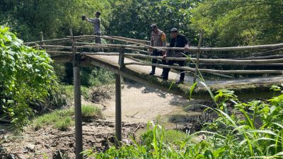 Nyaris Putus, Jembatan di Dusun Kerjo Desa Brangkal Bojonegoro Butuh Penanganan Serius